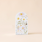 Tiny Olivia the honey bear