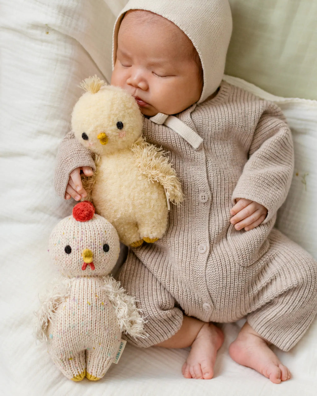 Baby Chicken