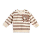 Lion Baby Knit Pullover & Pants