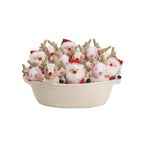 Christmas Pom-Pom Pals