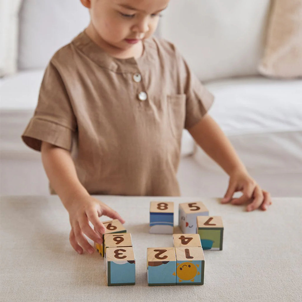 Animal Puzzle Cubes