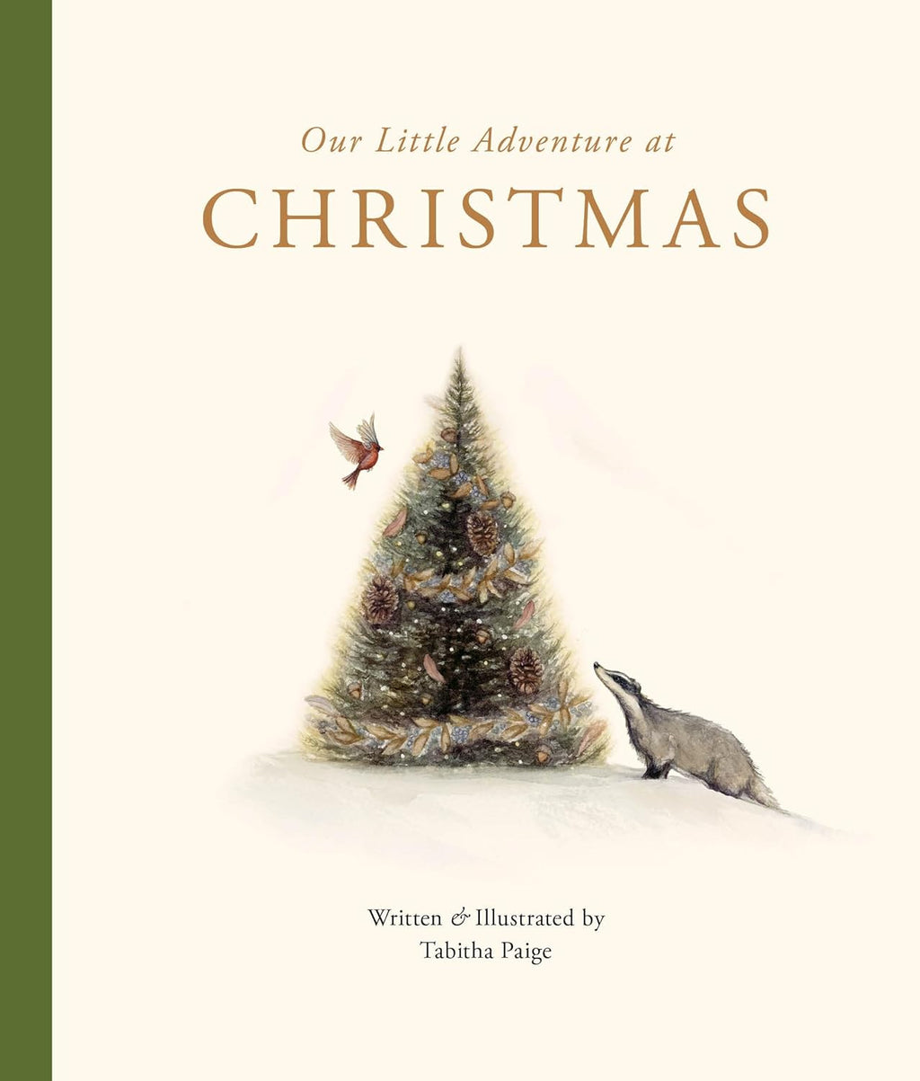 Our Little Adventure Christmas