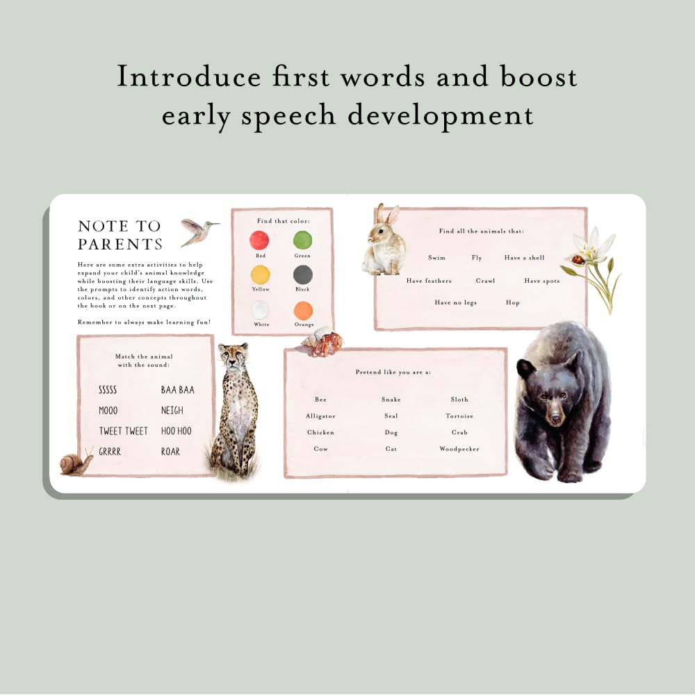 Our Big Book of Animals