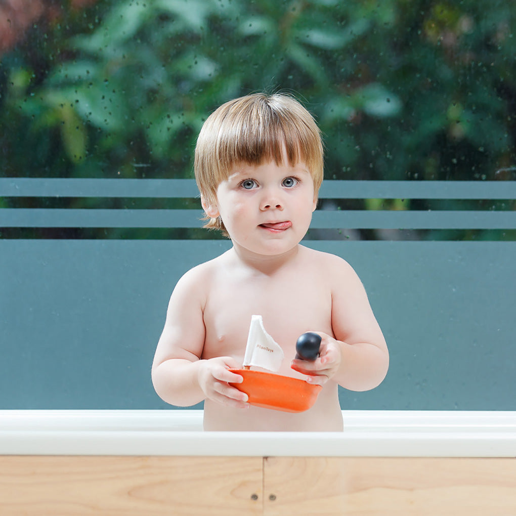 Sailing Boat Penguin