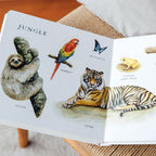 Our Big Book of Animals