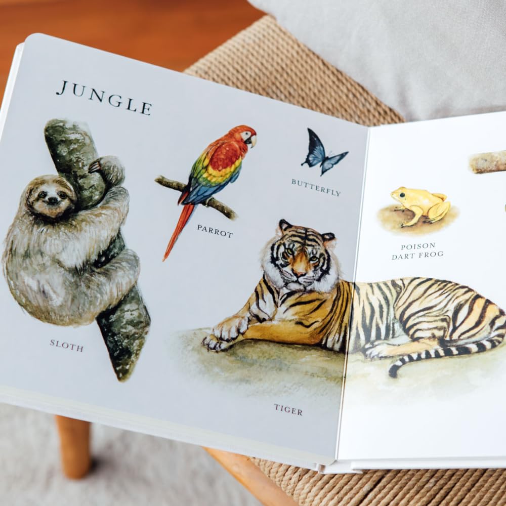 Our Big Book of Animals