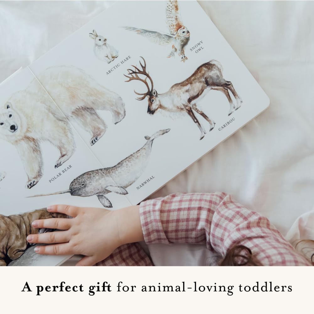 Our Big Book of Animals