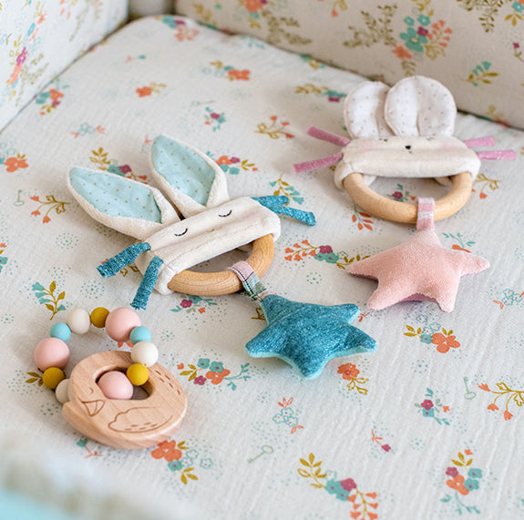 Petite ecole de danse - Swan Teething Ring Rattle