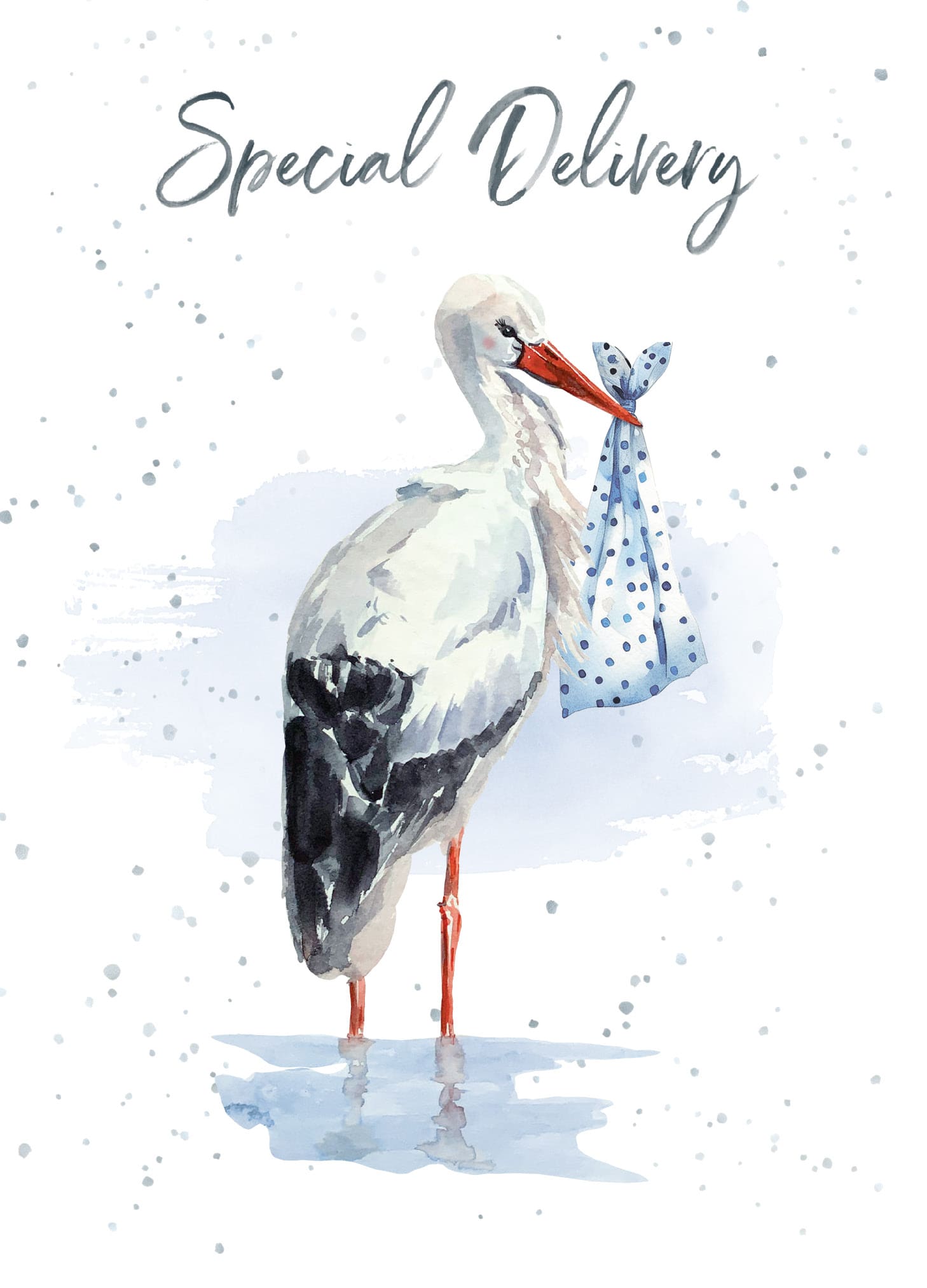 Stork Delivery Greeting Card