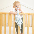 Teether Buddy