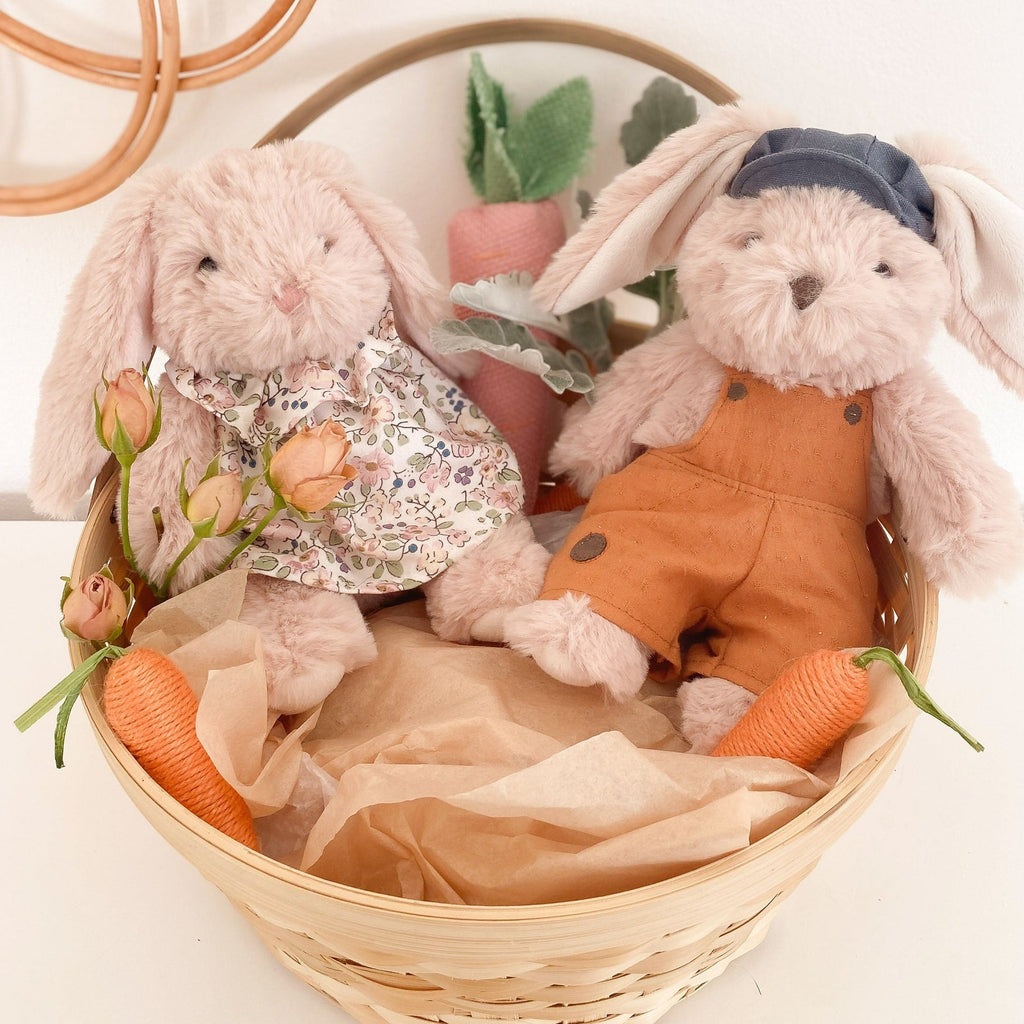 Baby Benjamin Rabbit Benjamin Bunny – Little Mischief