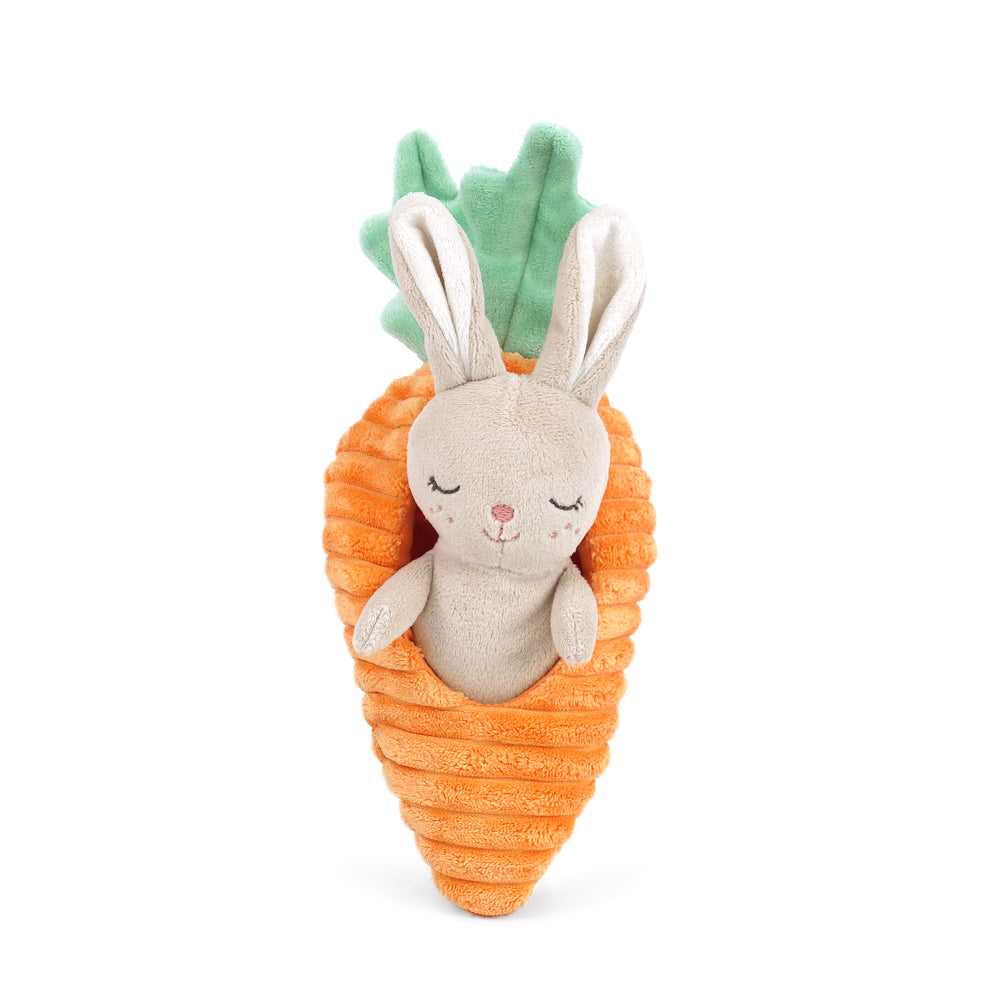 Bunny In Carrot