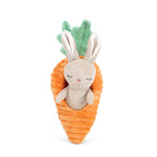 Bunny In Carrot