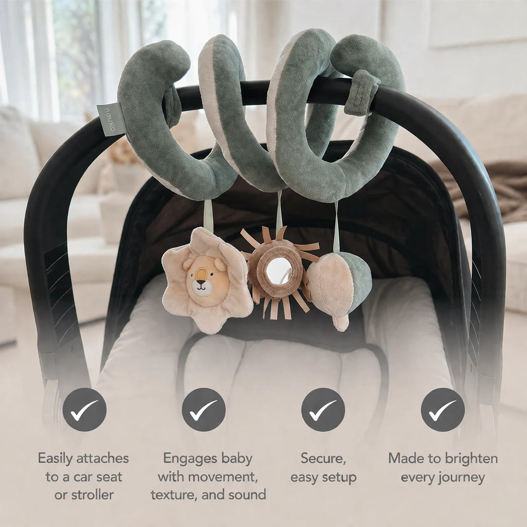 Sprial Activity Toy