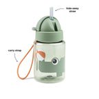 Straw Water Bottle