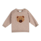 Bear Knit Baby Pullover & Pant Set