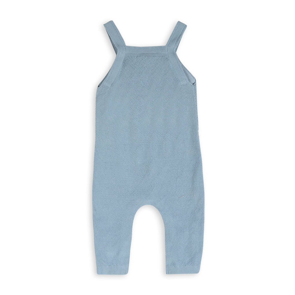 Wildflower Embr Knit Baby Overall Set