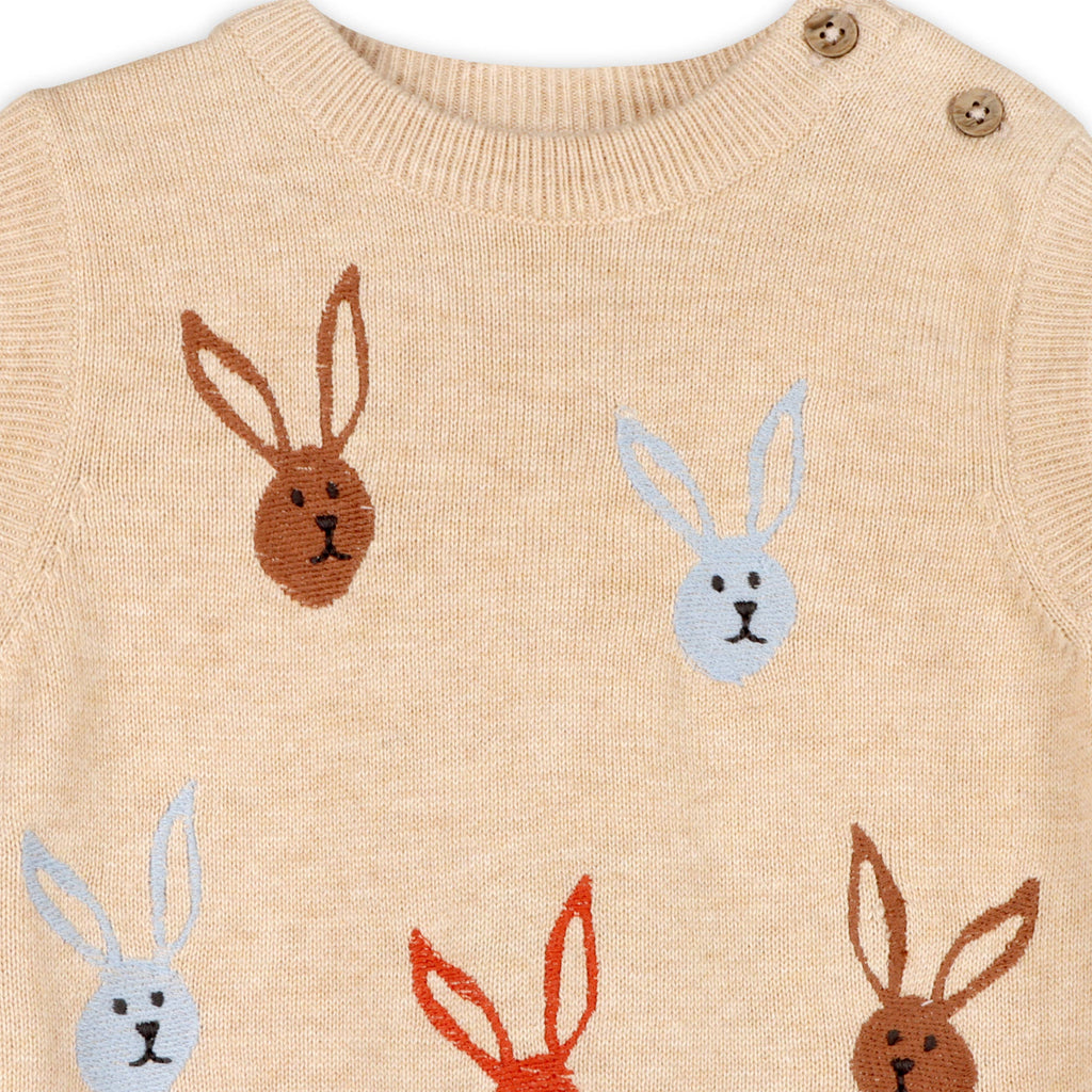 Bunny Rabbit Embroidered Sweater Knit Baby Romper