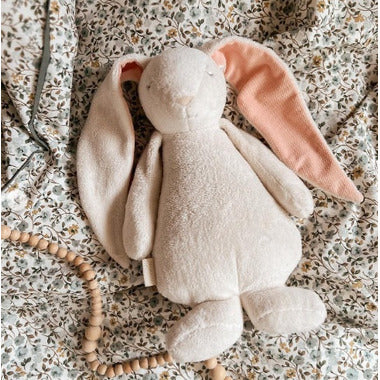 Sensory Bunny