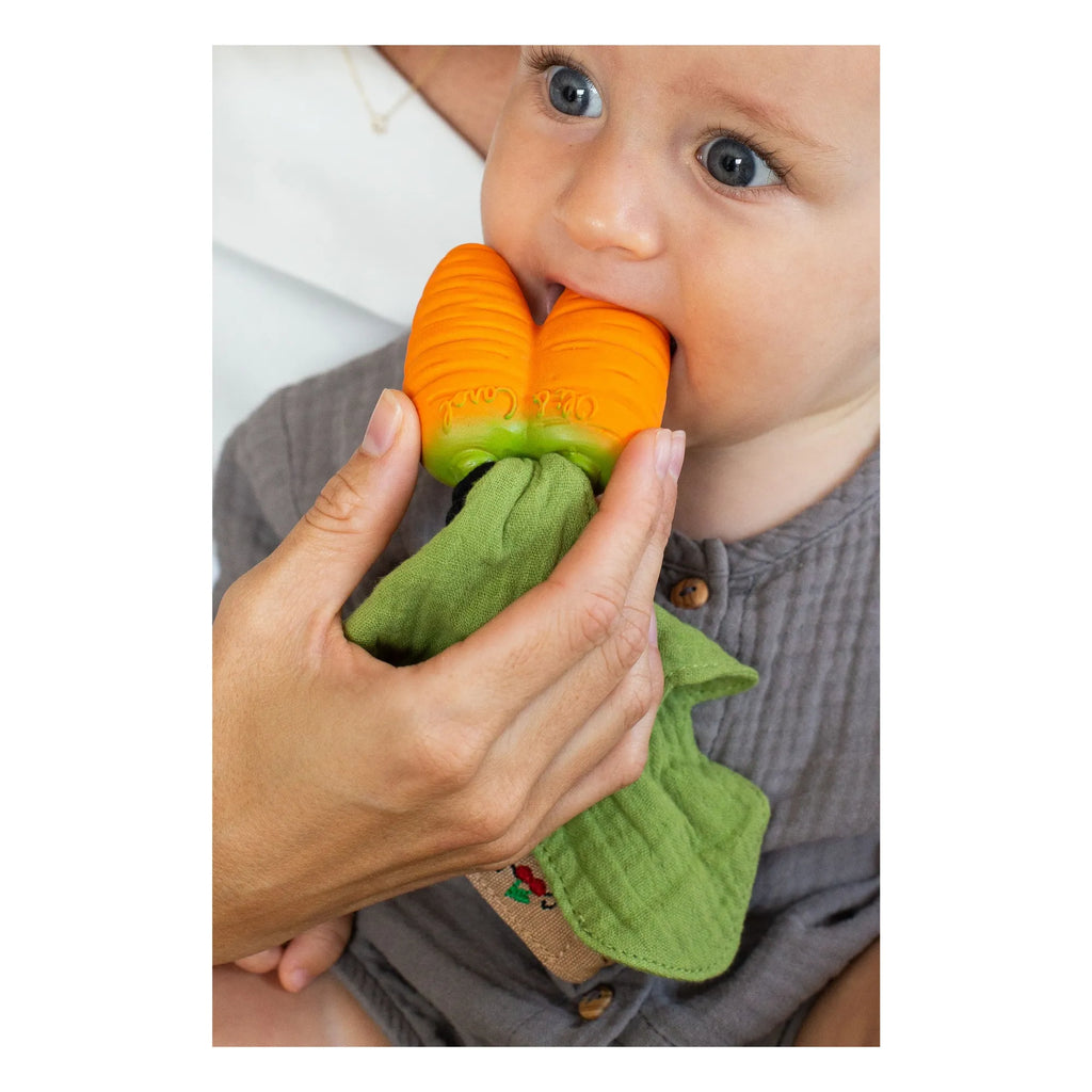Mini Doudou Teether
