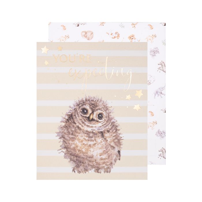 Hoot Hoot Hooray Greeting Card