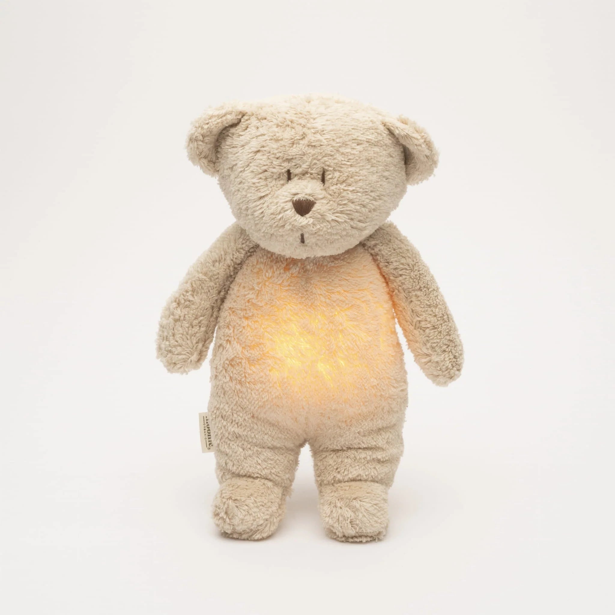 Humming Bear With Lamp