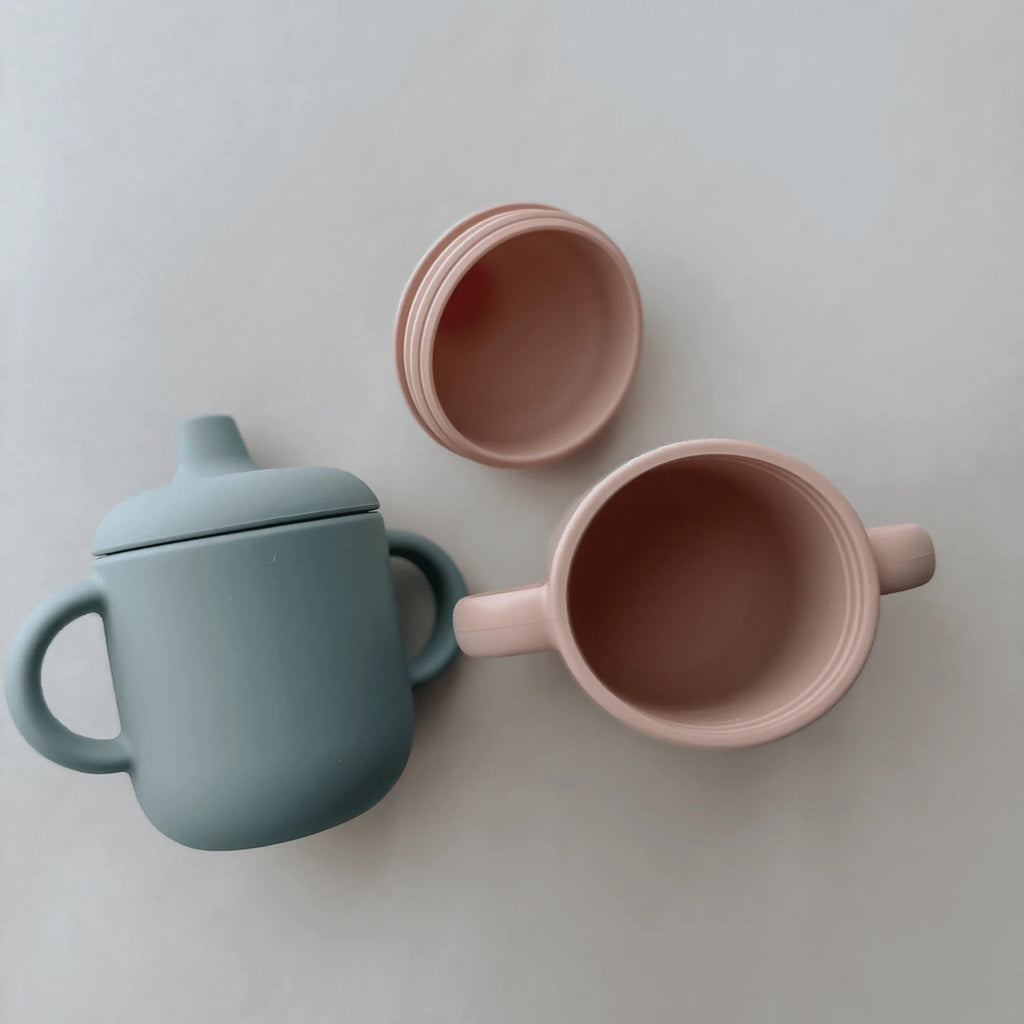 Non-Spill Sippy Cup