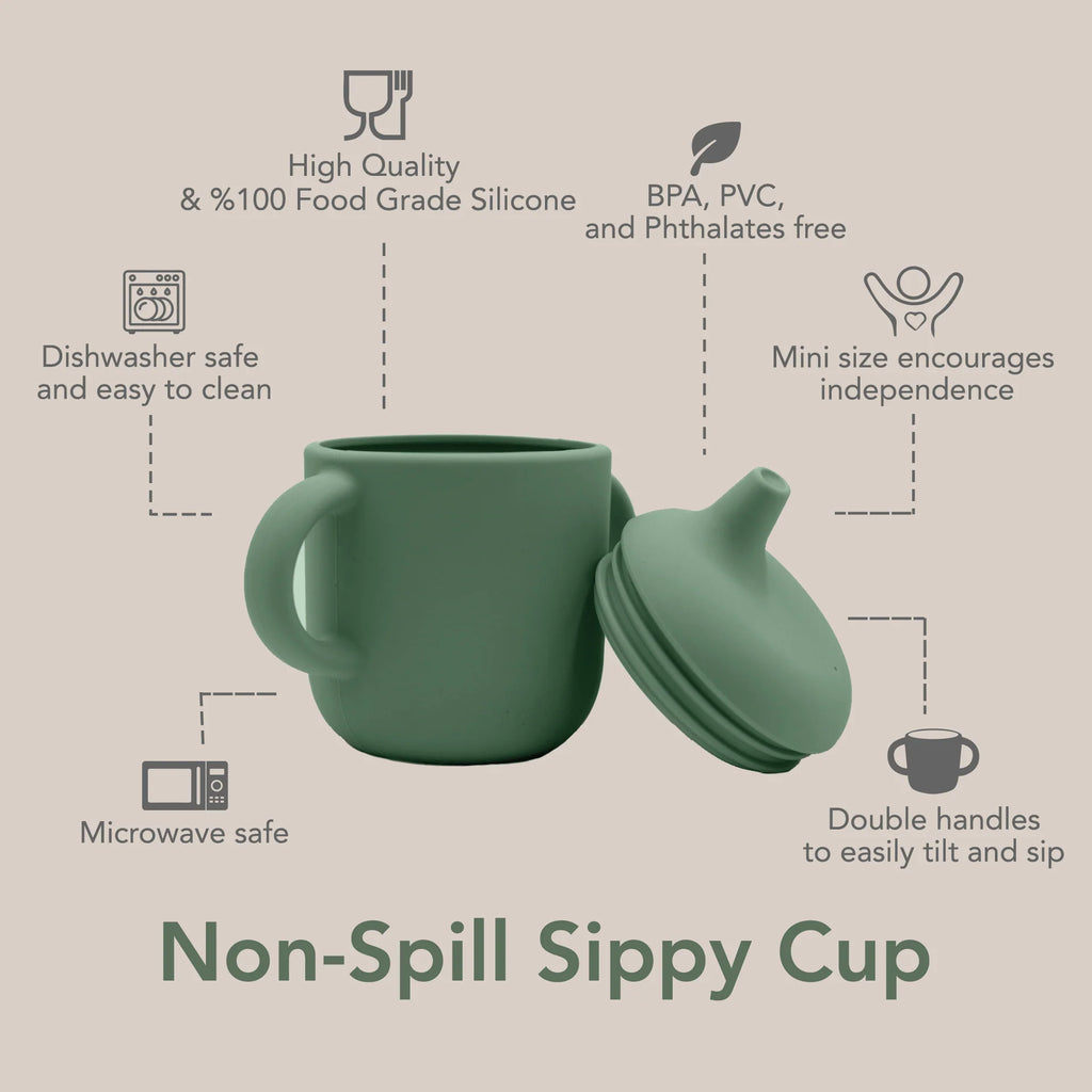 Non-Spill Sippy Cup